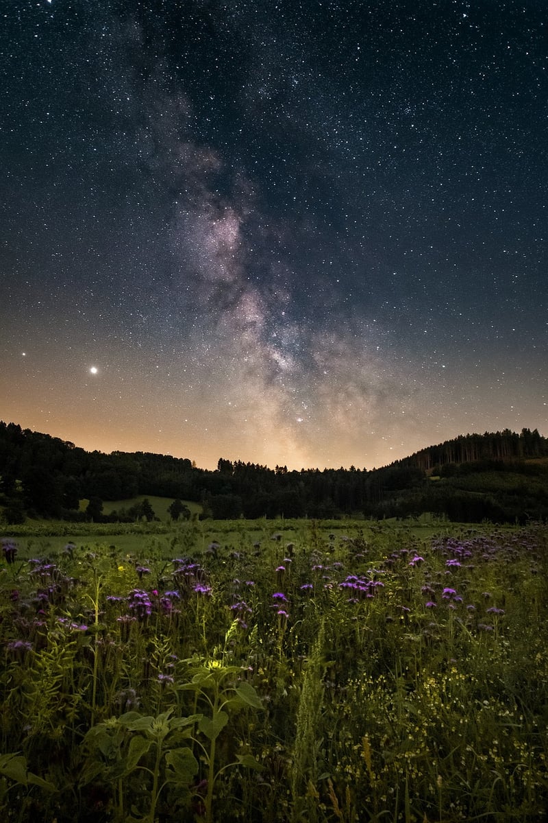 Galactic Wonders